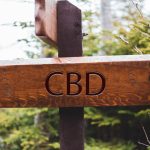 CBD olaj útmutató teljesen kezdőknek